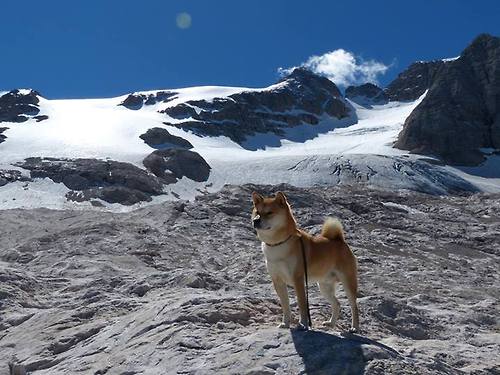 法比尼奥全程高能输出，阿根廷完胜AC米兰的经典之战