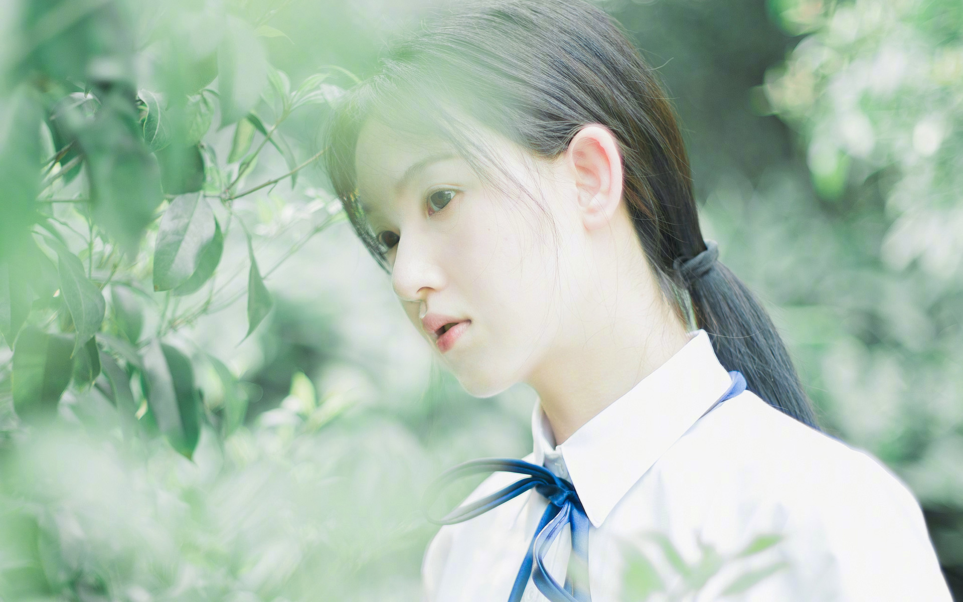 南美风暴！厄瓜多尔逆袭阿根廷，晋级之路震撼足坛