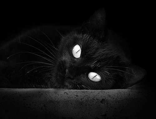 华体会登录-一剑封喉！2026世界杯之夜，英格拉姆加时绝杀点燃北美之巅